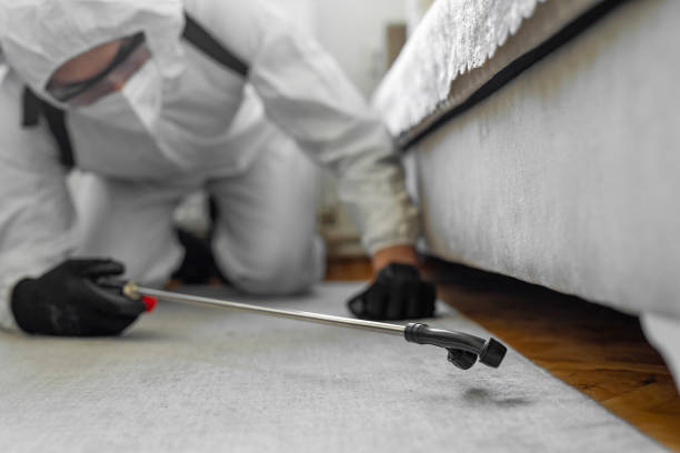 Professional Pest Control technician working in Mount Sterling, OH