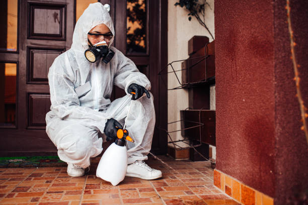 Reliable Bed Bug Control contractor in Mount Sterling, OH by Nex Pest Control
