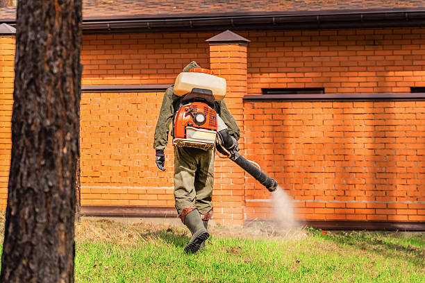 Trusted Mosquito Control service in Mount Sterling, OH - Nex Pest Control
